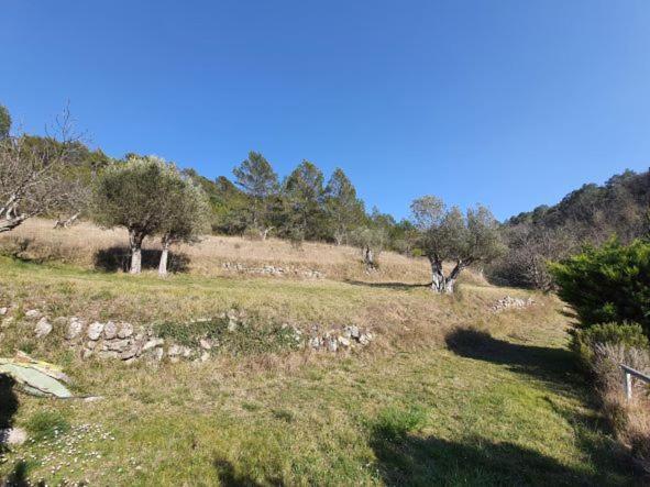 La Ferme De Manon Apartman Montferrat  Kültér fotó